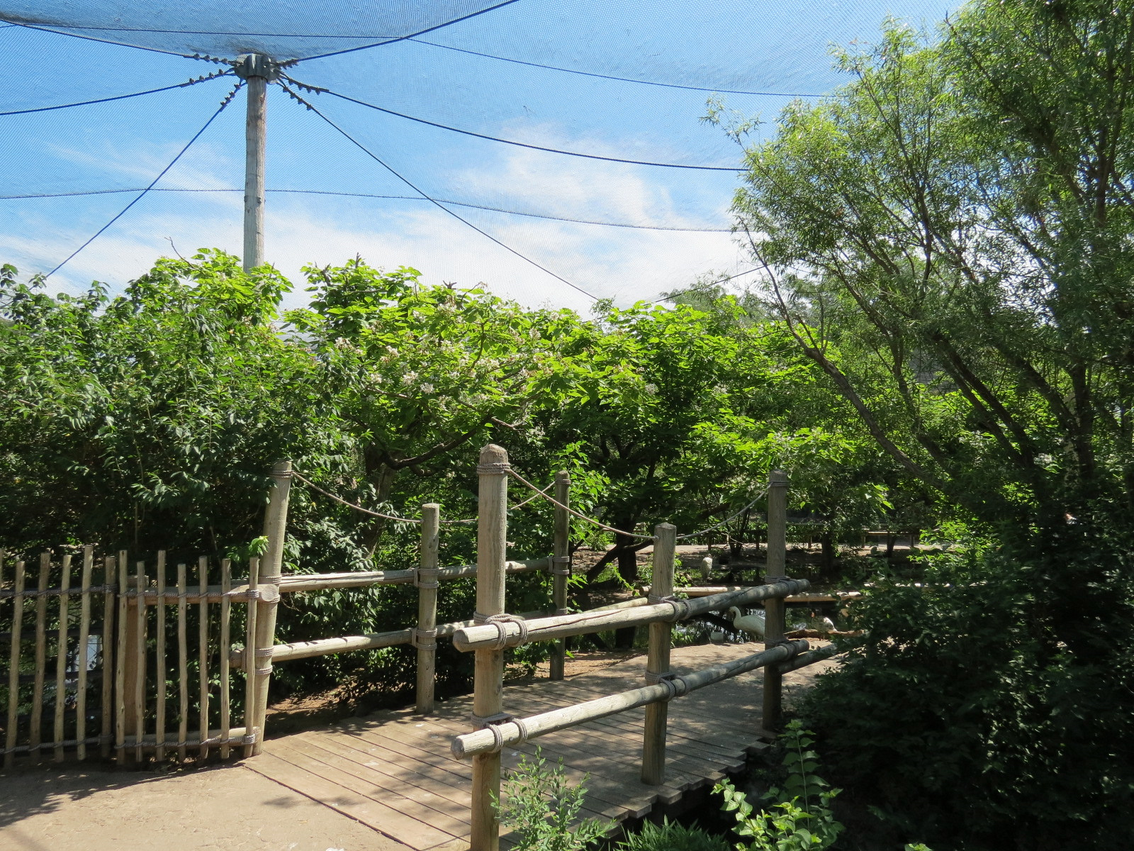 South America - Walk-through Aviary Yard