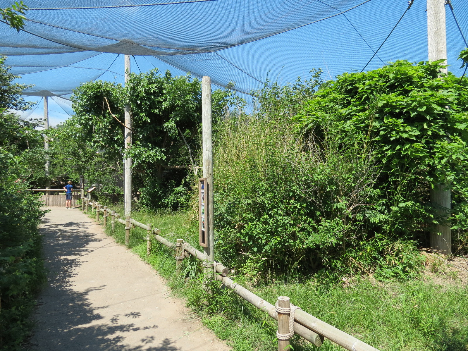 South America - Walk-through Aviary Yard