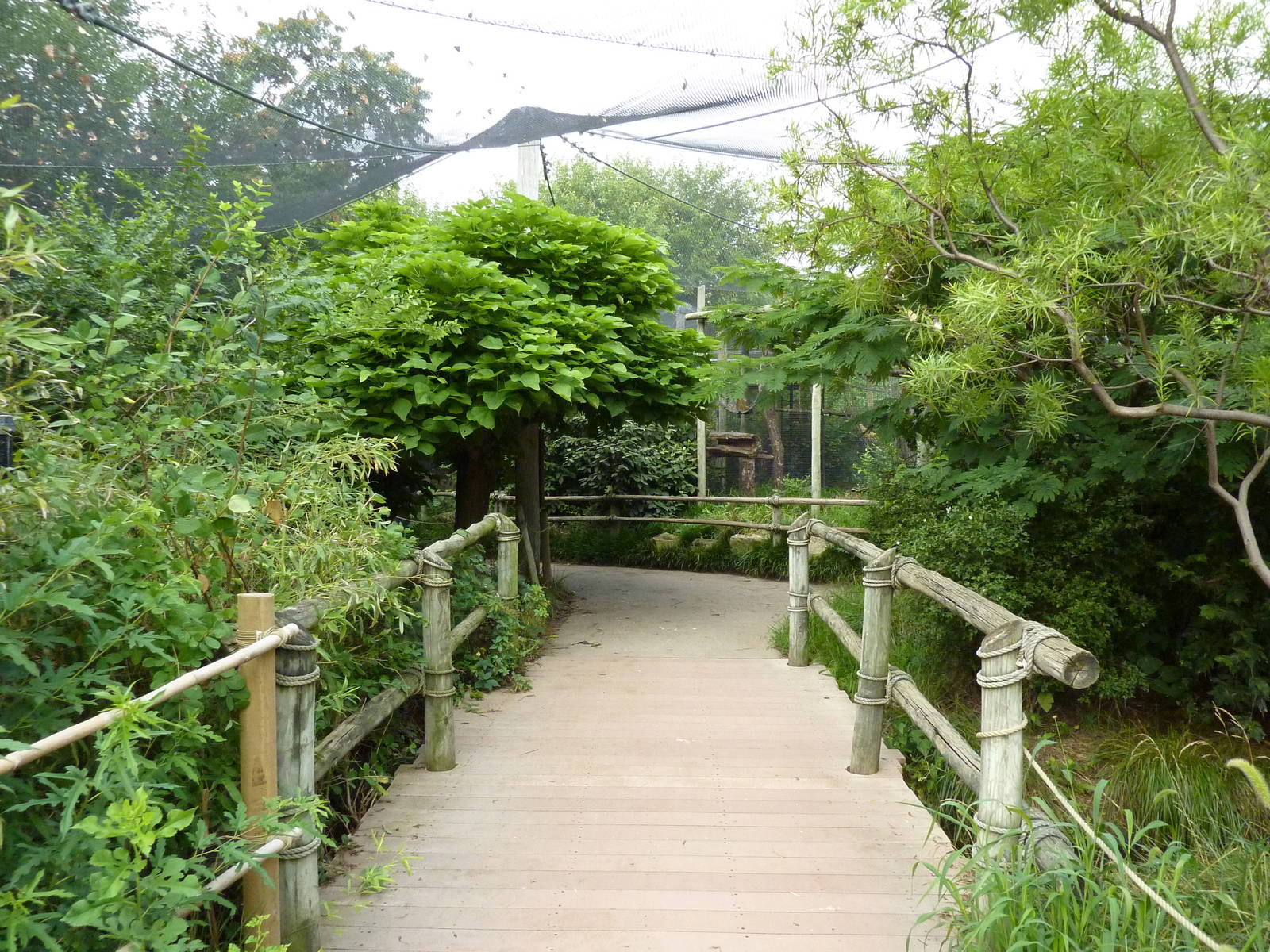 South America - Walk-Through Aviary