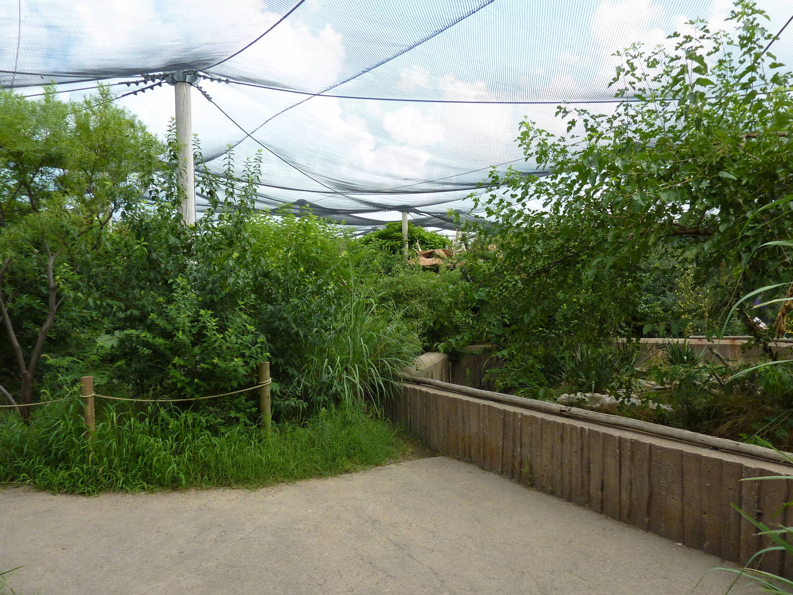 South America - Walk-Through Aviary
