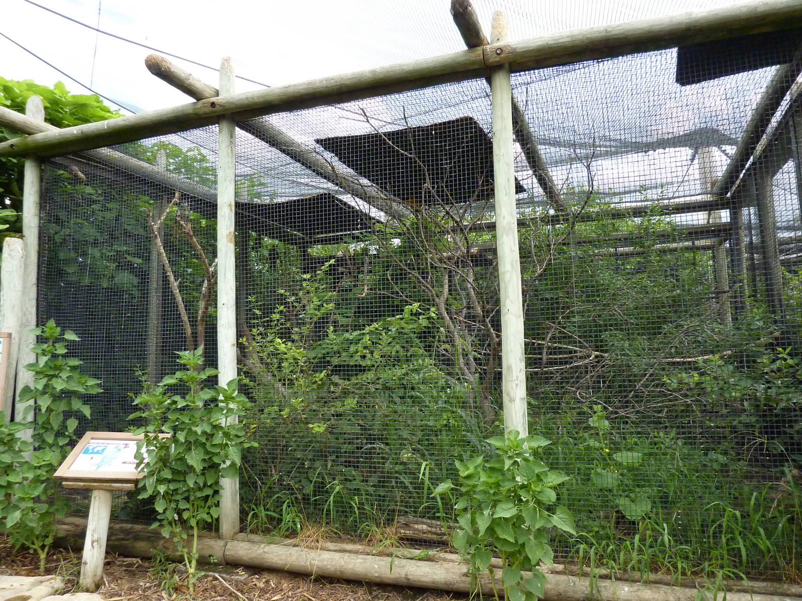 South America - Walk-Through Aviary