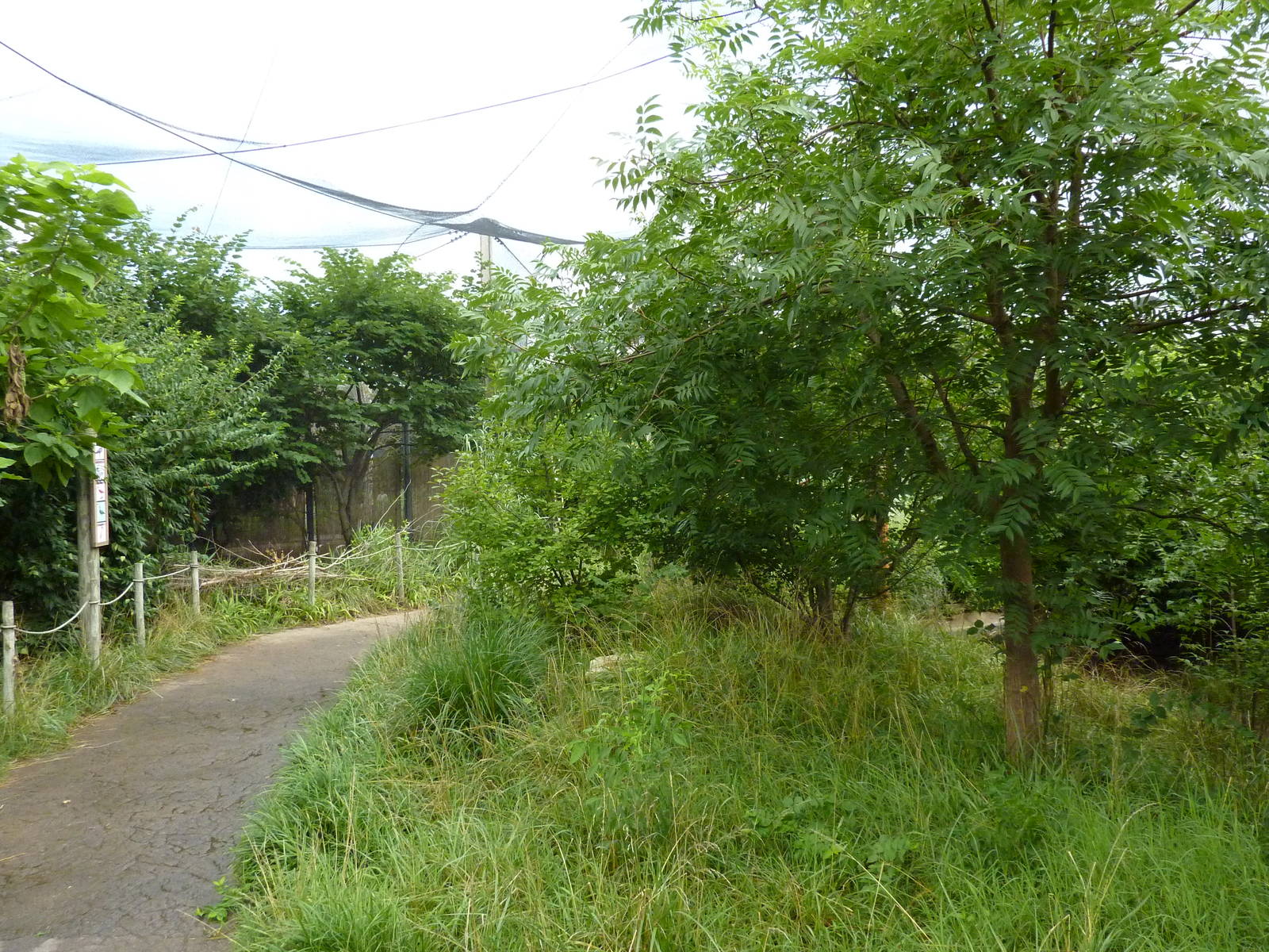 South America - Walk-Through Aviary