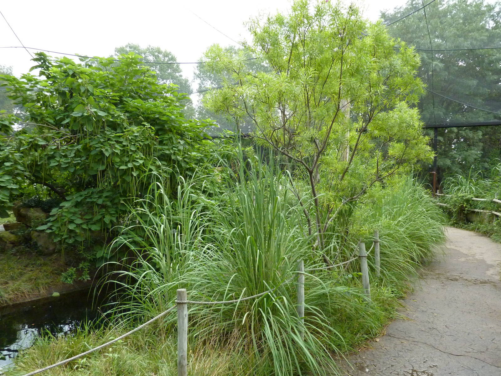South America - Walk-Through Aviary