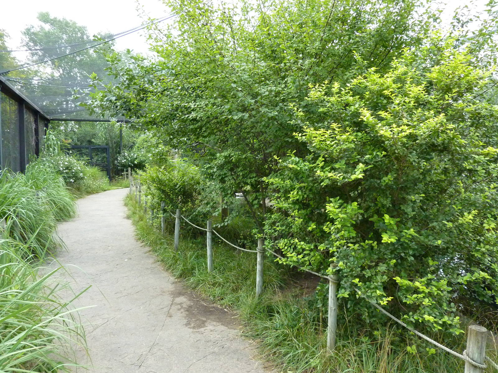 South America - Walk-Through Aviary