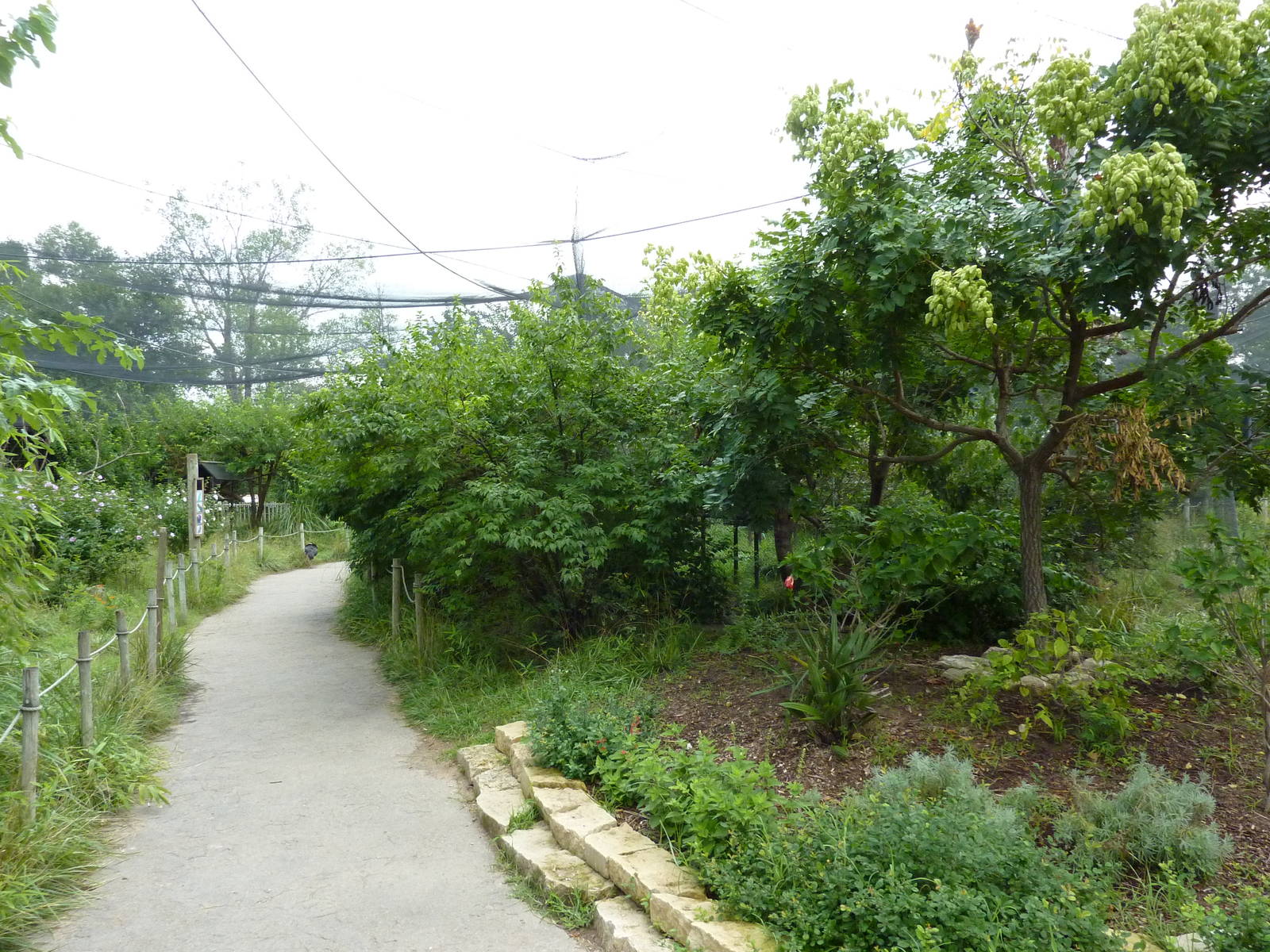 South America - Walk-Through Aviary