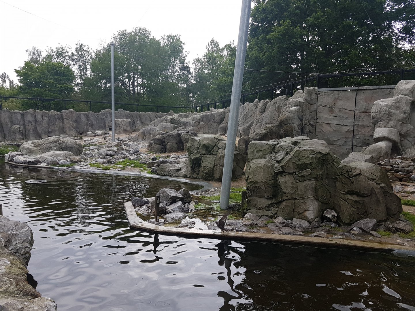 South America Walk-through aviary