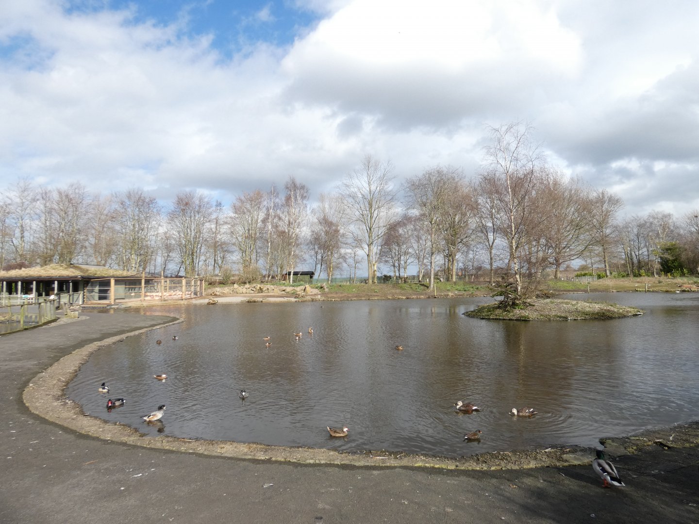 South America walk-through enclosure