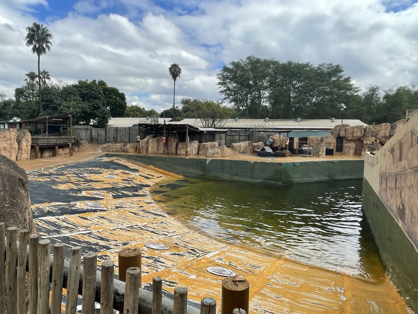 South American and South African Fur Seal Exhibit (Arctocephalus pusillus, Arctocephalus australis)