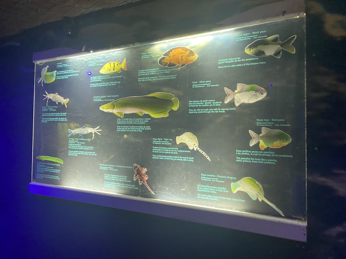 South American aquarium signage