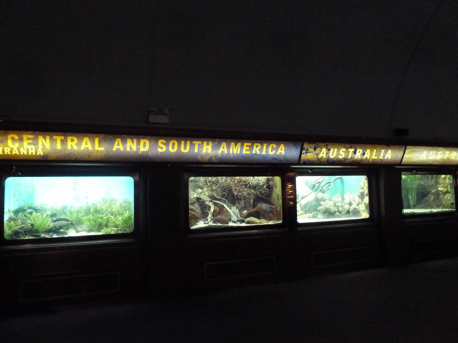 South American + Australian Exhibits