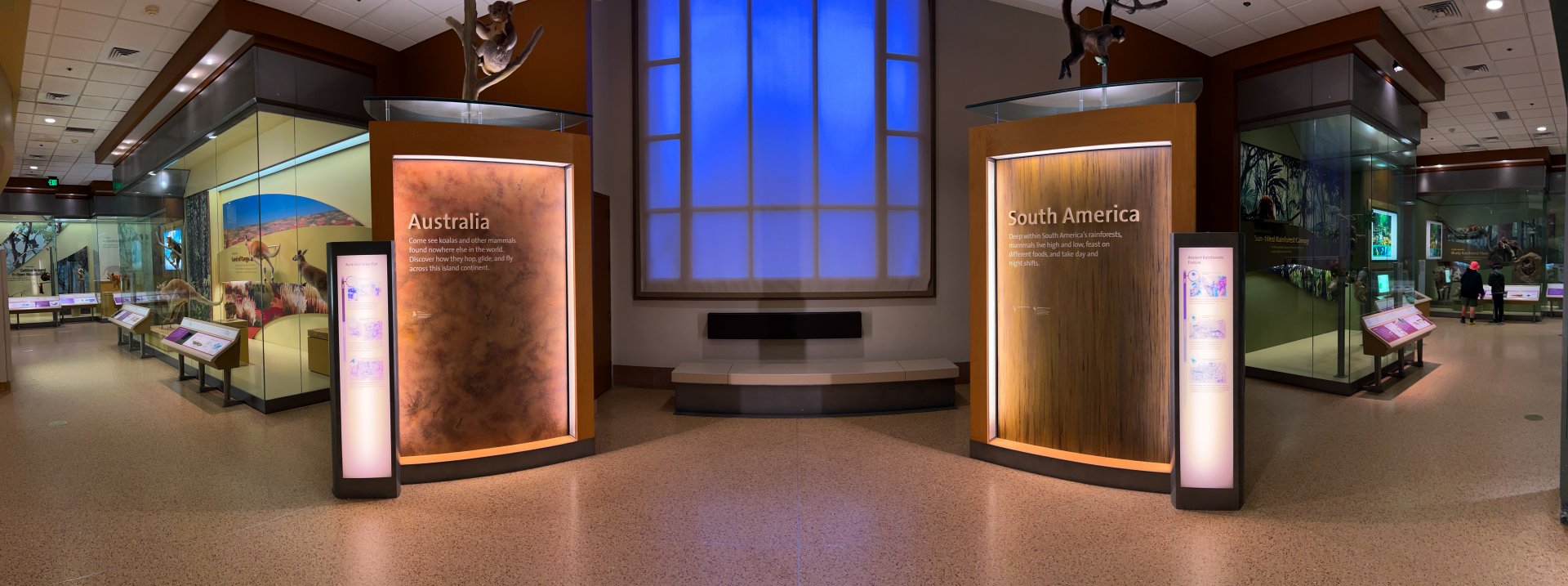 South American & Australian Mammal Exhibits