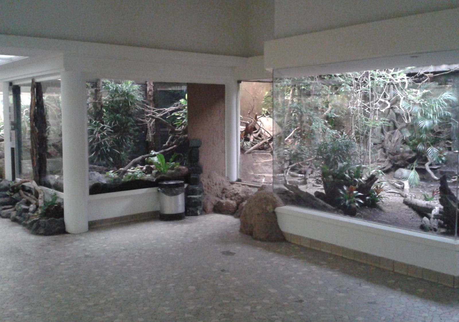 South american aviaries