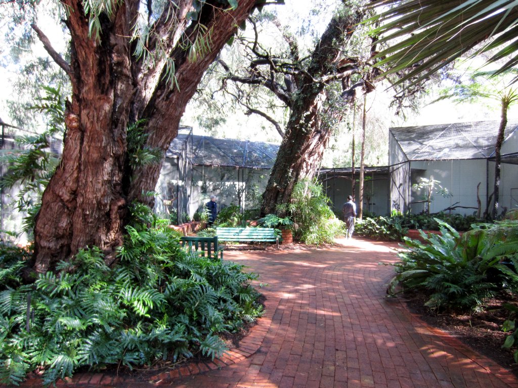 South American Aviaries