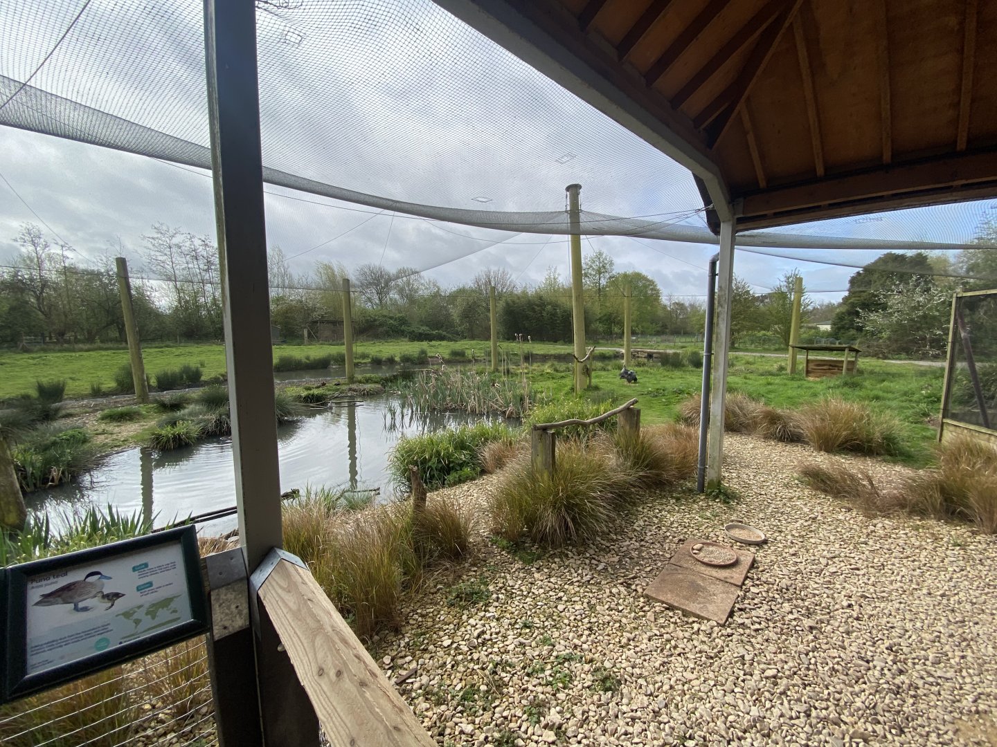 South American aviary 110424