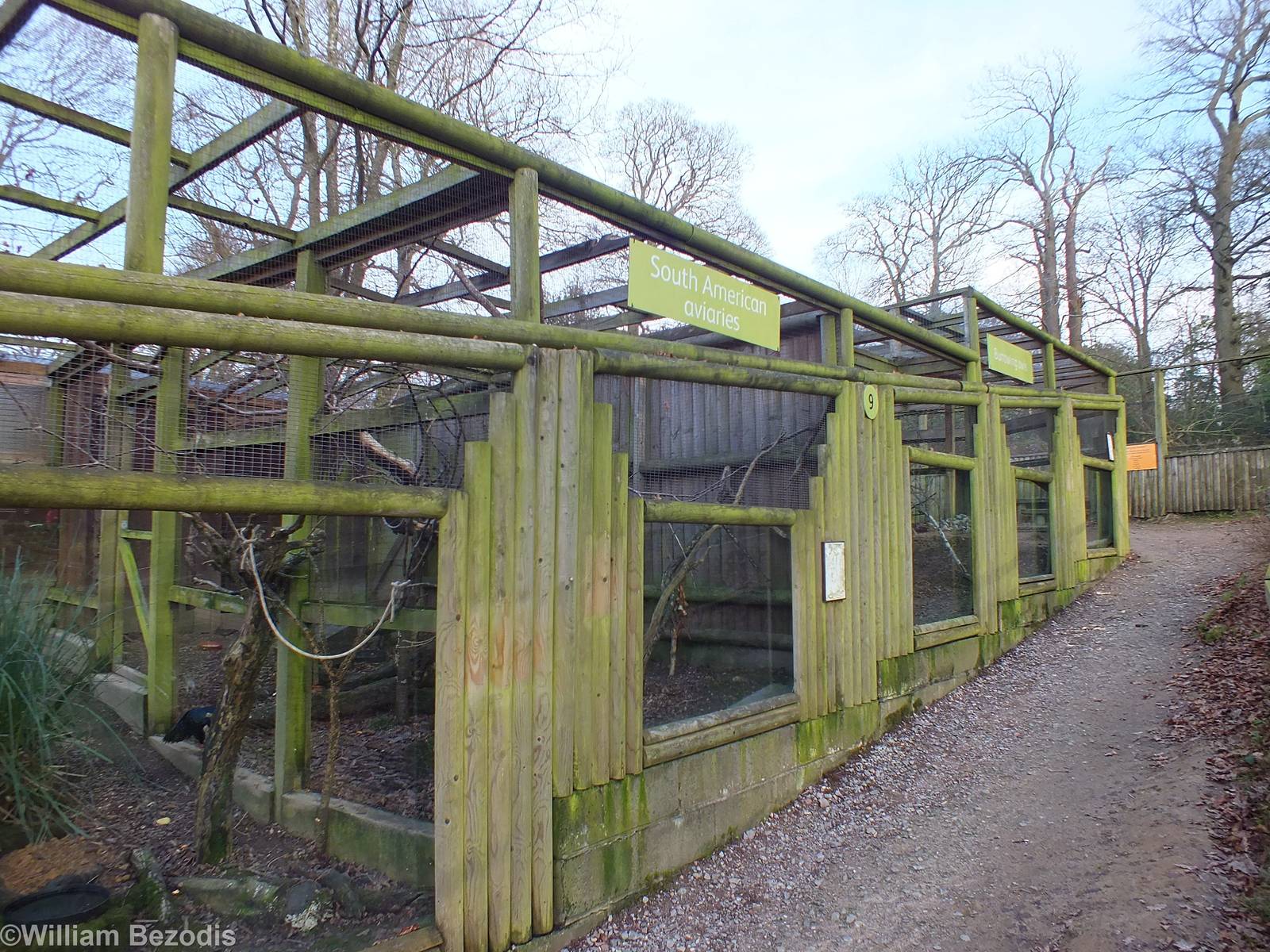 'South American' Aviary and Burrowing Owl Aviary