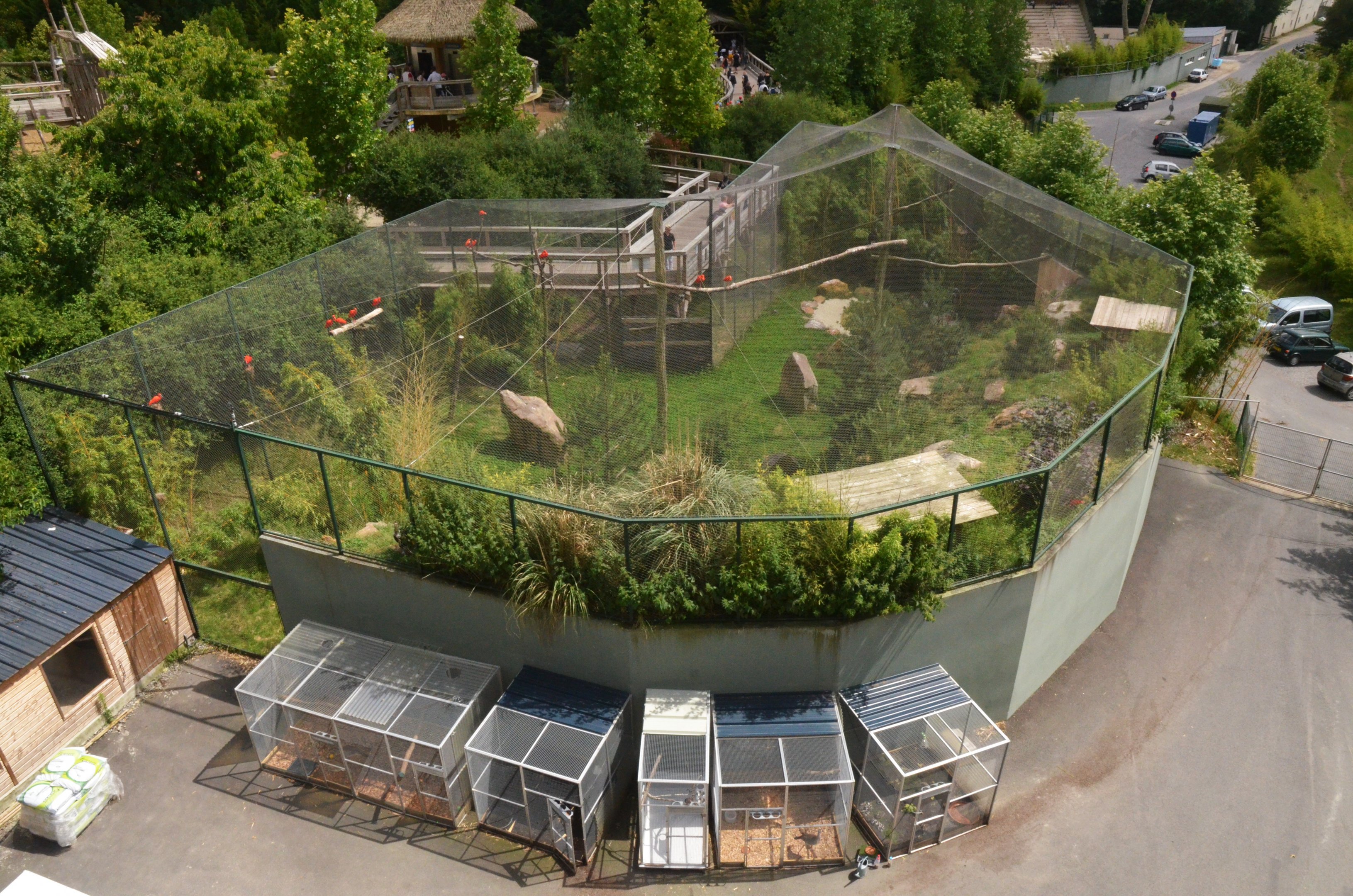 South American Aviary and Holding - View from Les Maîtres des Airs at Beauval, 12/06/18