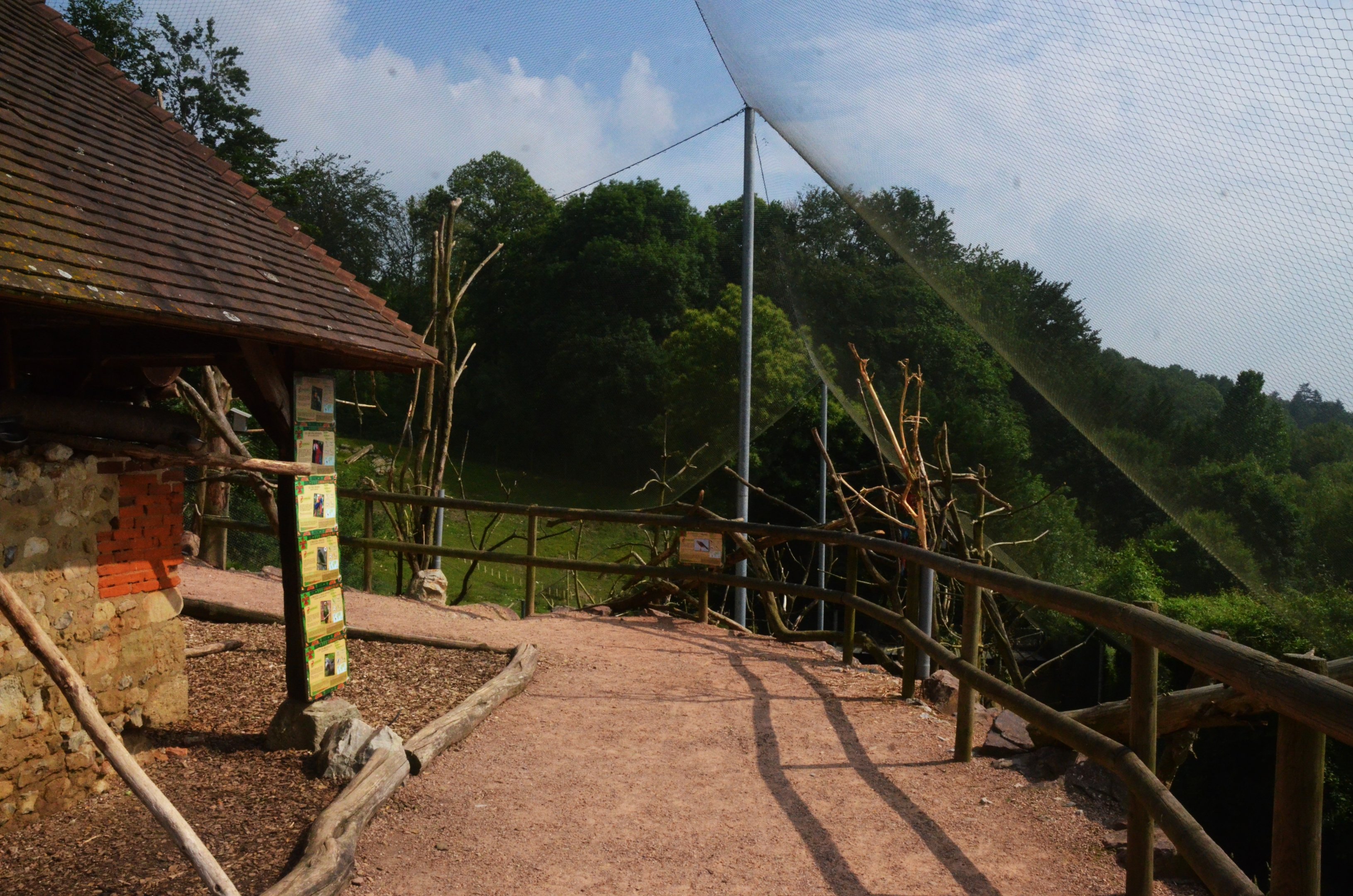 South American Aviary at CERZA, 10/06/18