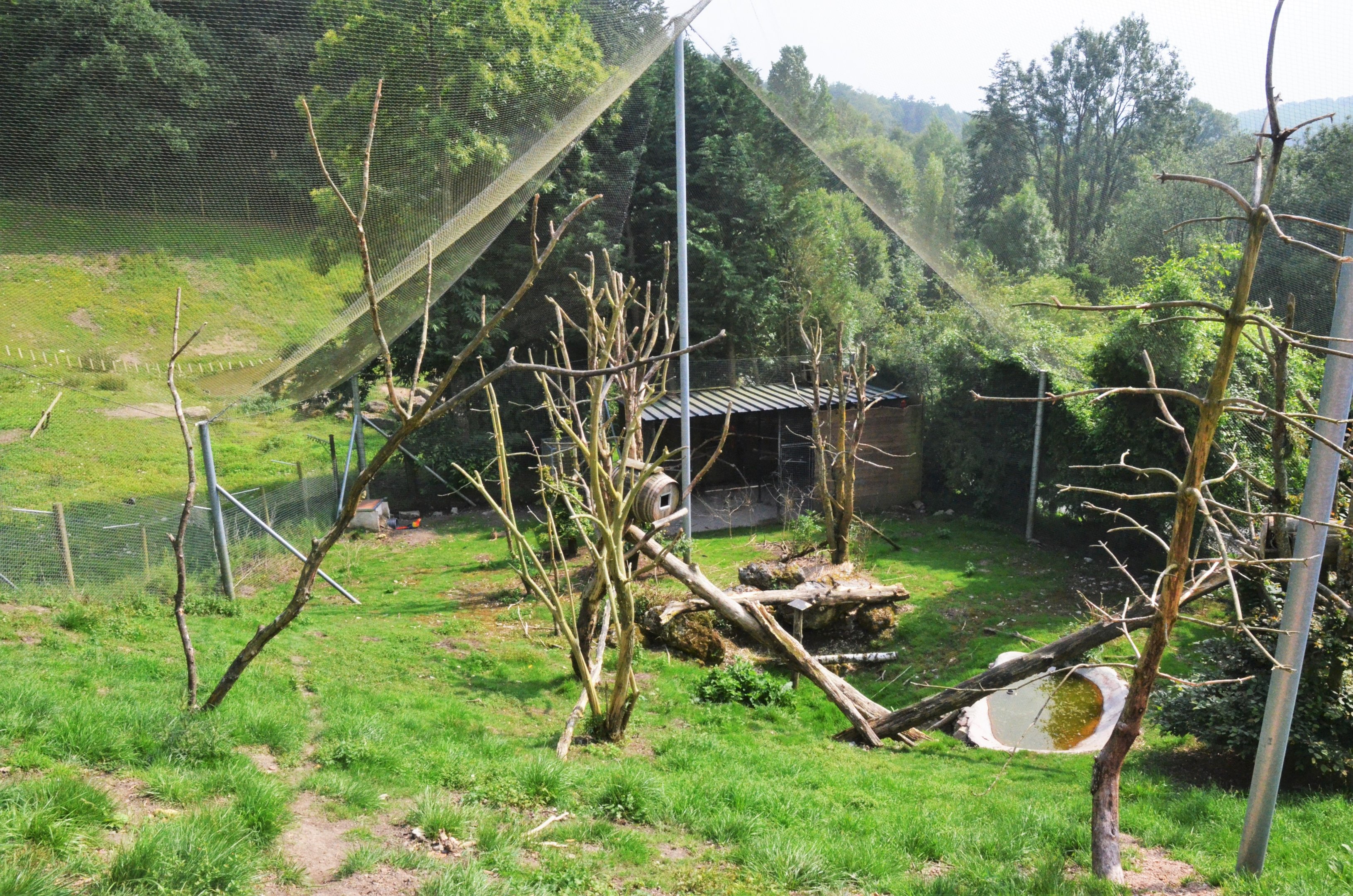 South American Aviary at CERZA, 10/06/18