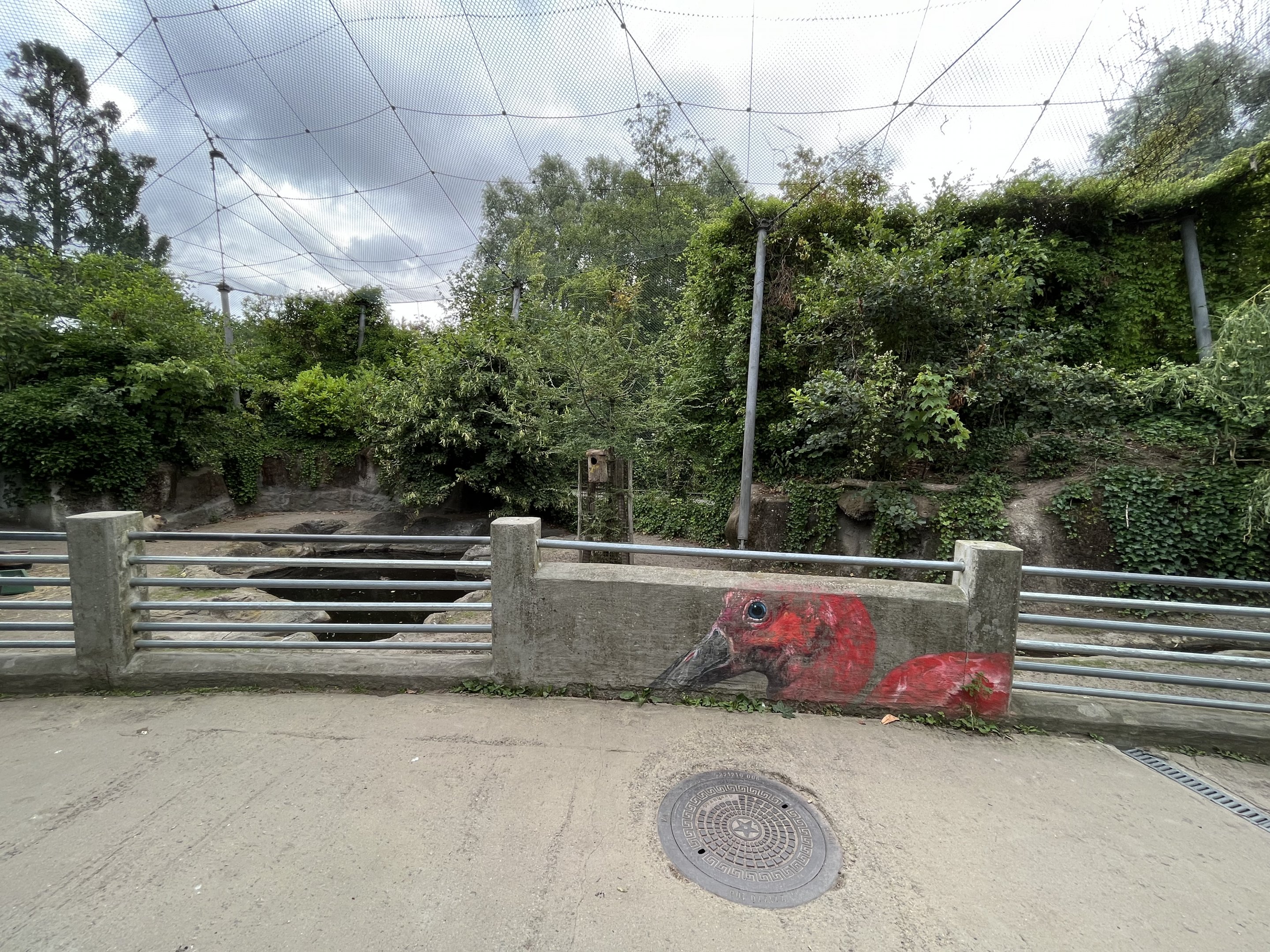 South American Aviary - Capybara Exhibit