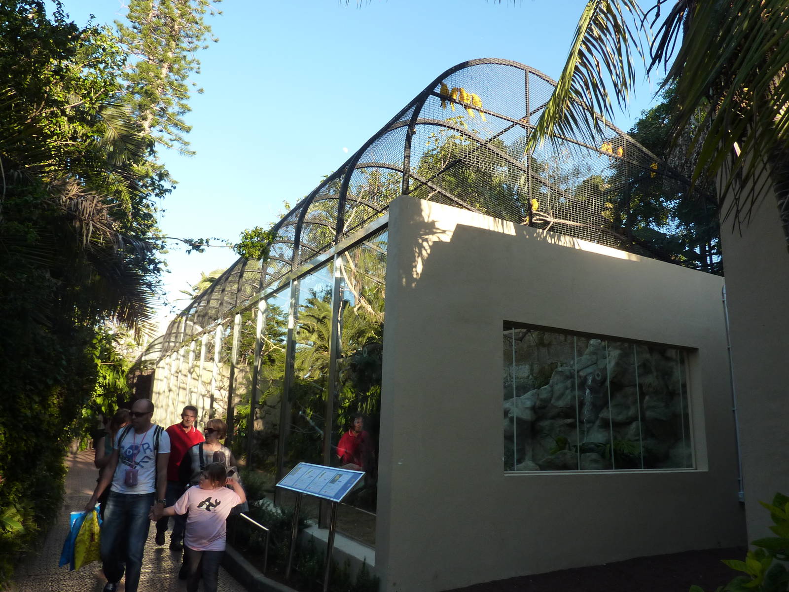 South American aviary, December 2012