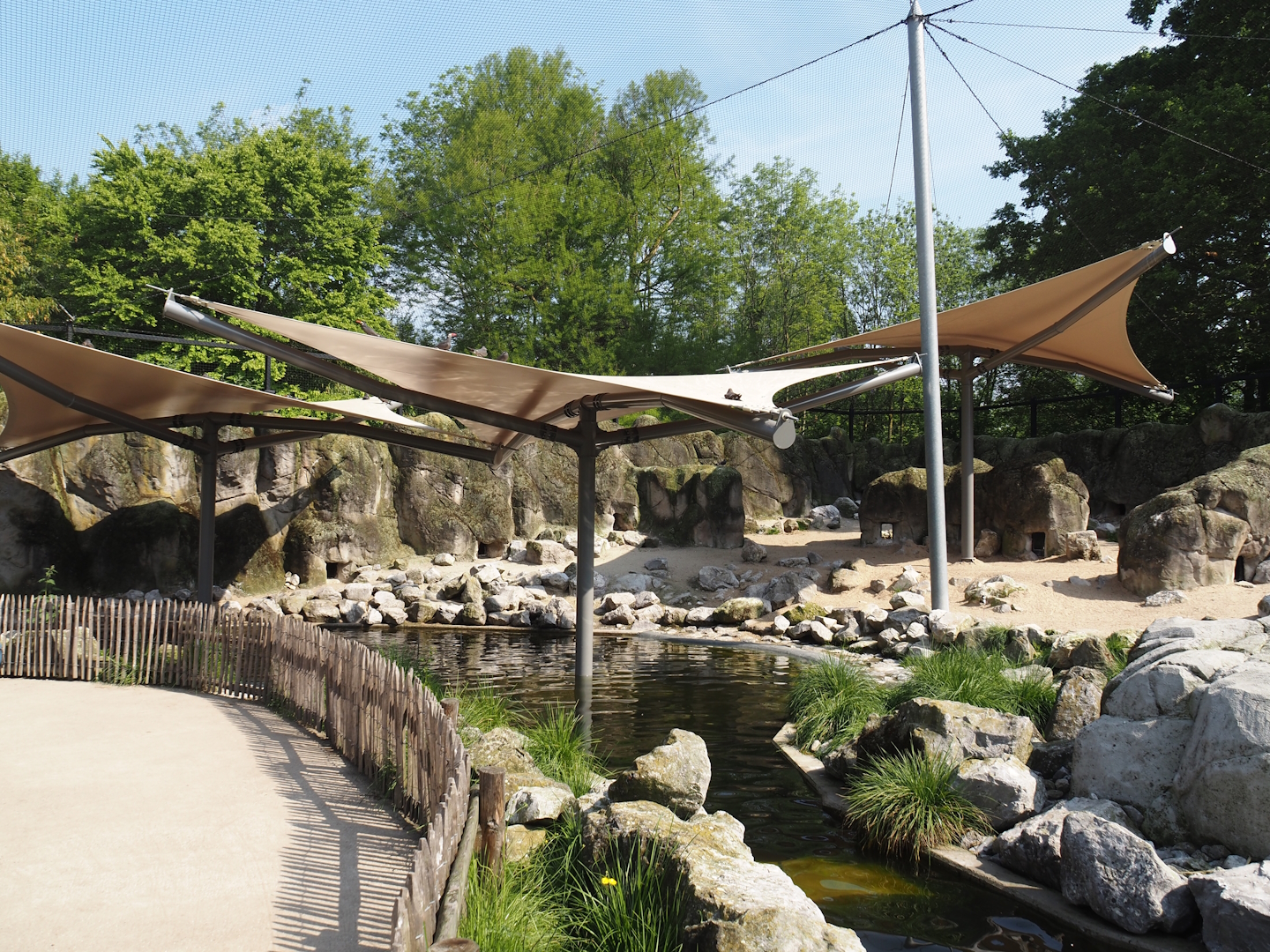 South American aviary - Humboldt penguin exhibit with new permanent shade structures,, 2024-05-10