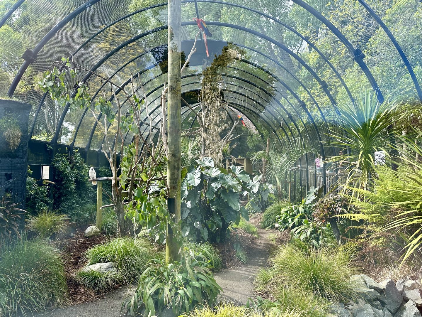 South American Aviary (Inside View)