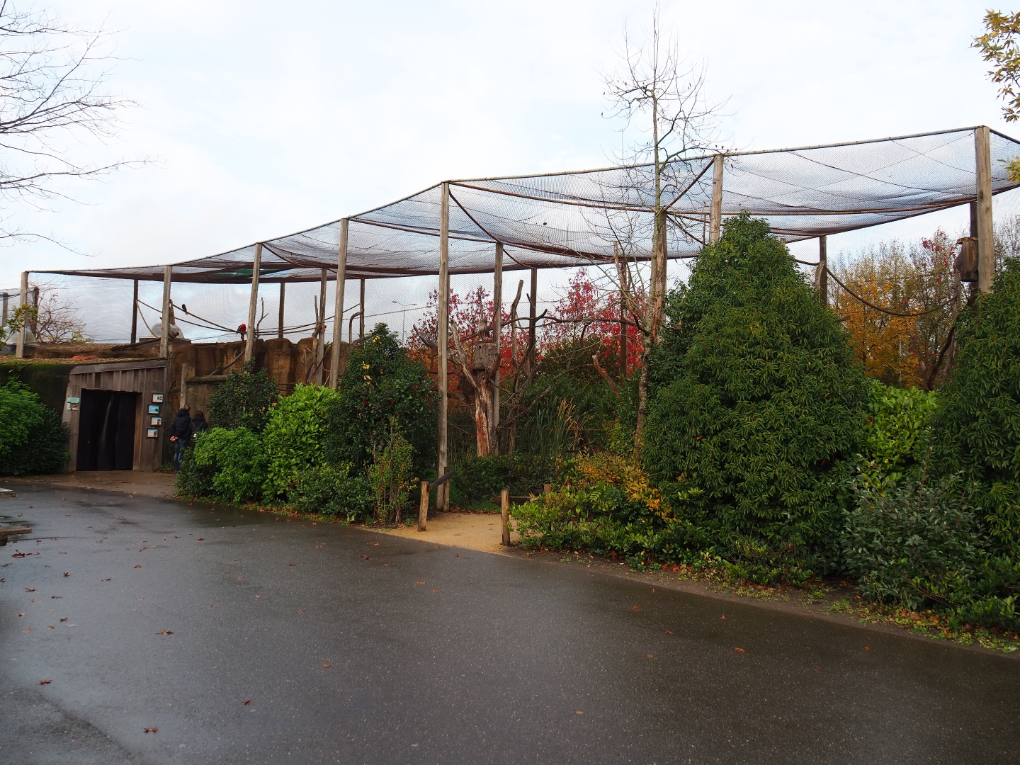 South American aviary (Nov 10th, 2018)