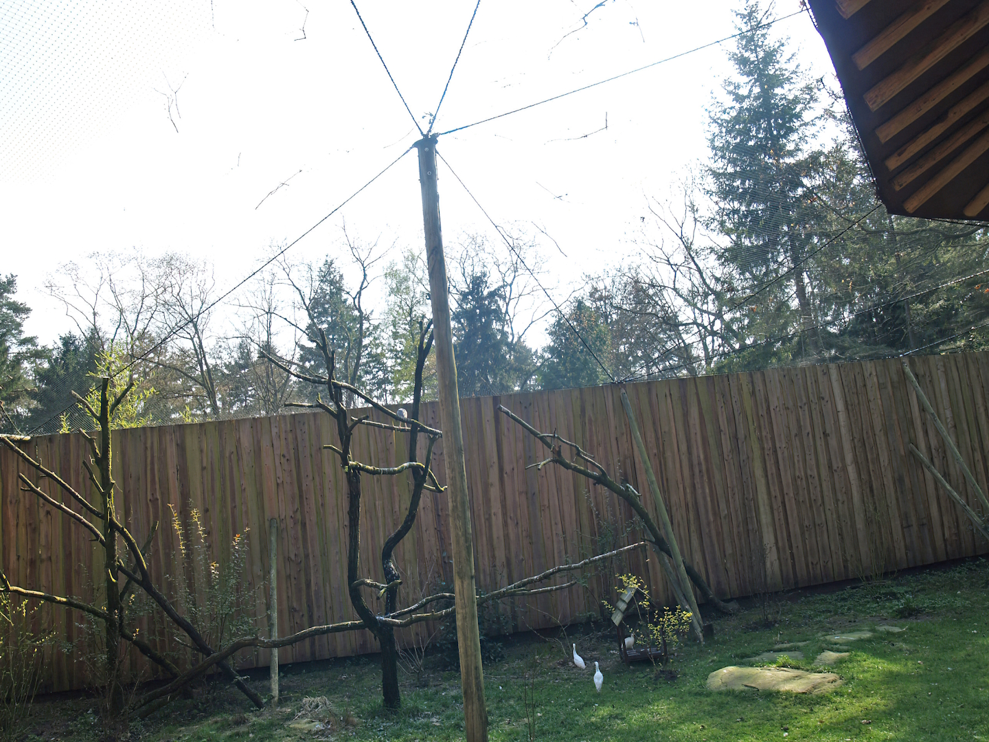 South American aviary (Now the Hanuman langur exhibit), 2010-04-18