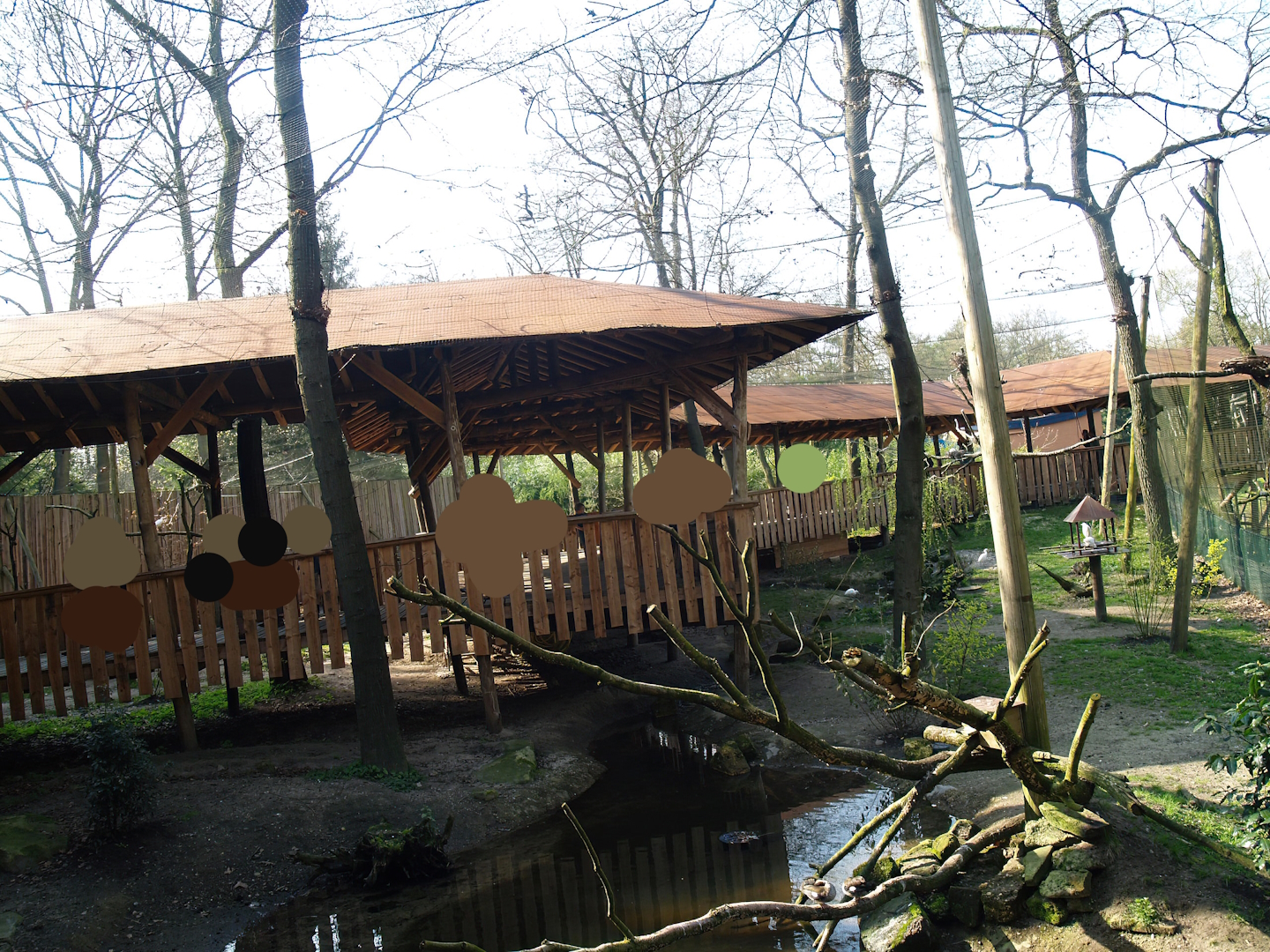 South American aviary (Now the Hanuman langur exhibit), 2010-04-18