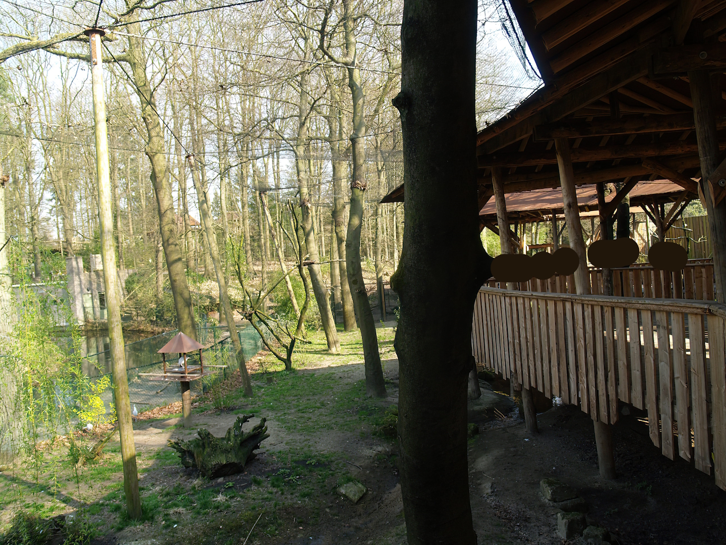 South American aviary (Now the Hanuman langur exhibit), 2010-04-18