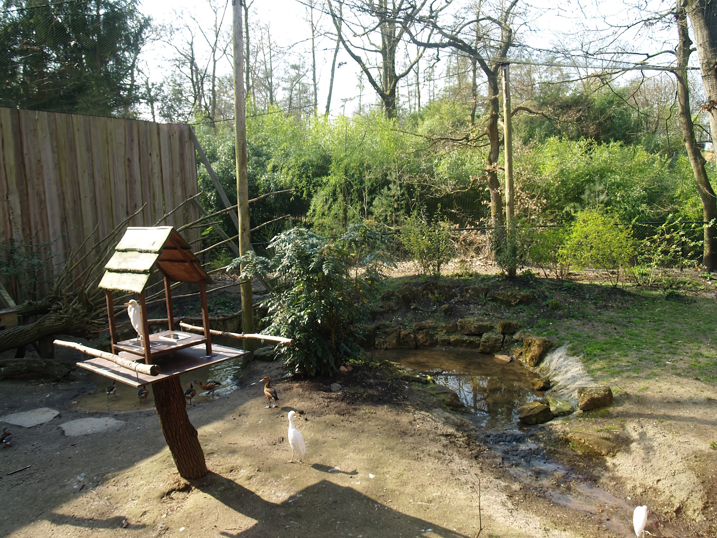 South American aviary (Now the Hanuman langur exhibit), 2010-04-18