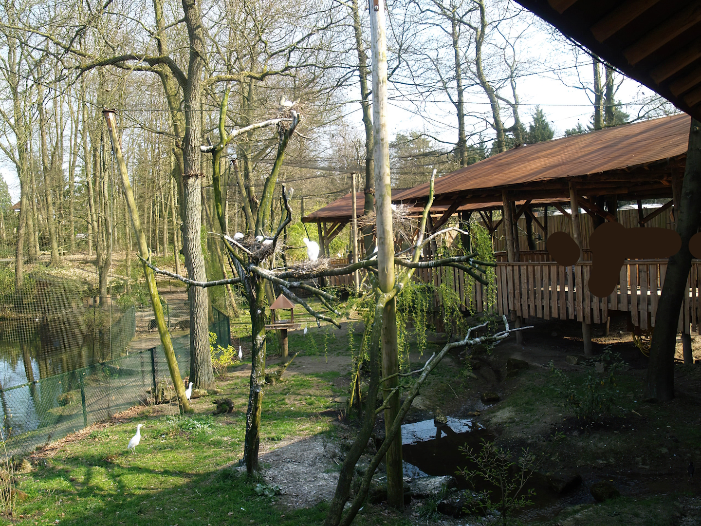 South American aviary (Now the Hanuman langur exhibit), 2010-04-18