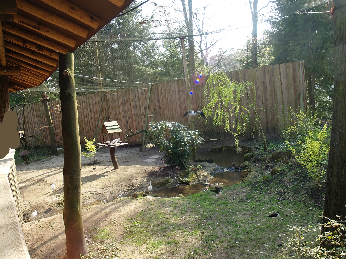 South American aviary (Now the Hanuman langur exhibit), 2010-04-18