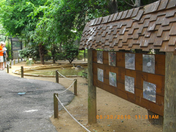 South American Aviary Signage