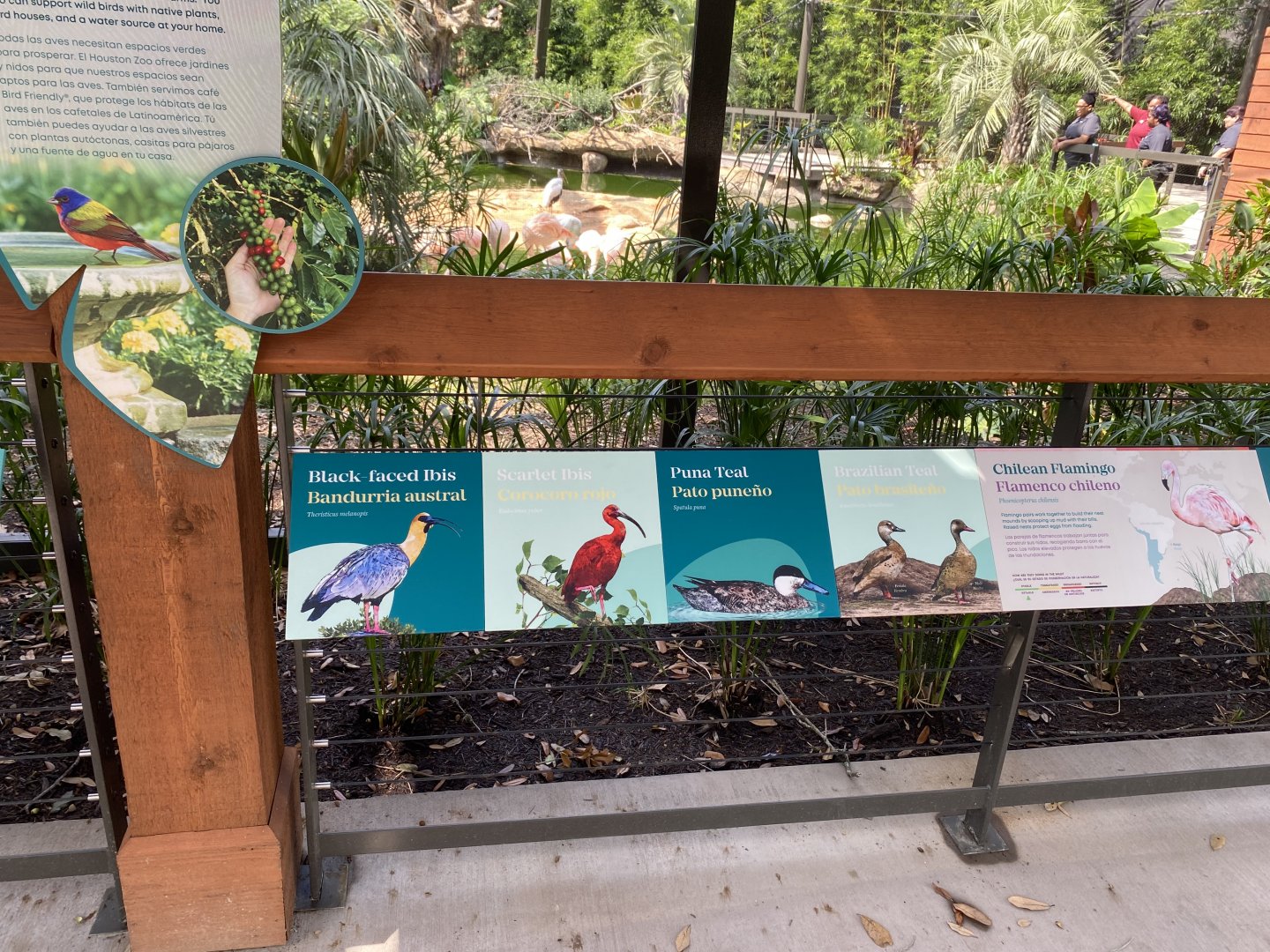 South American Aviary Signage