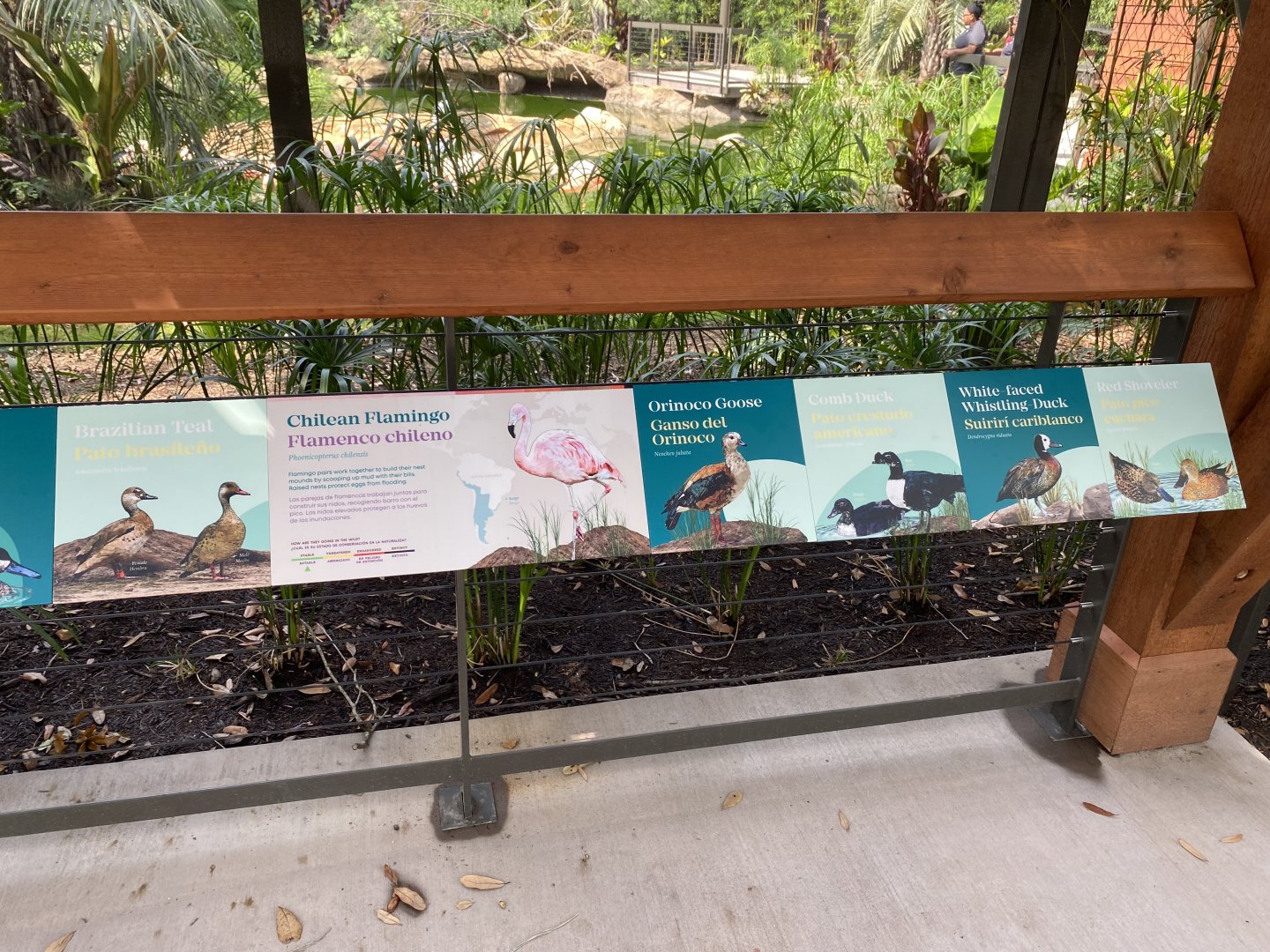 South American Aviary Signage