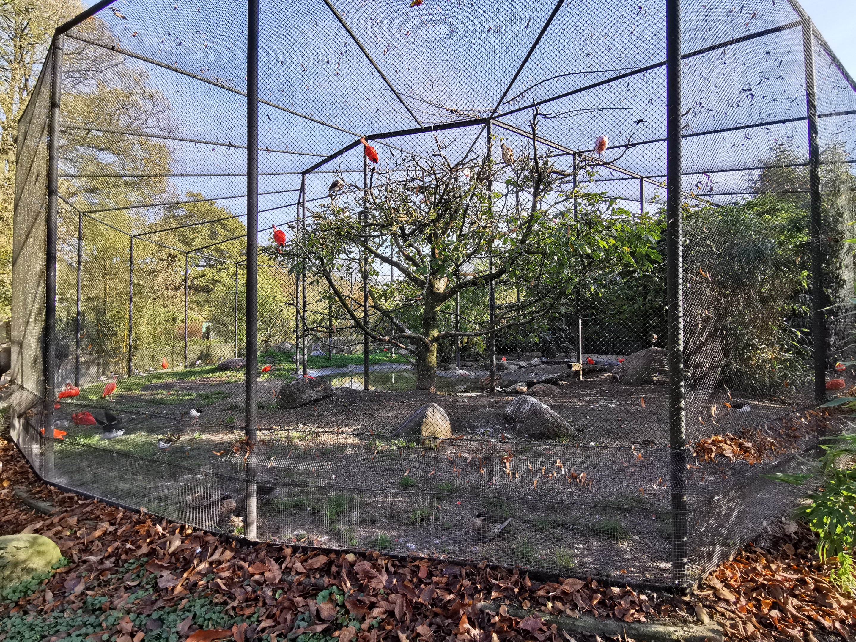 South American aviary - Tierpark Hagenbeck