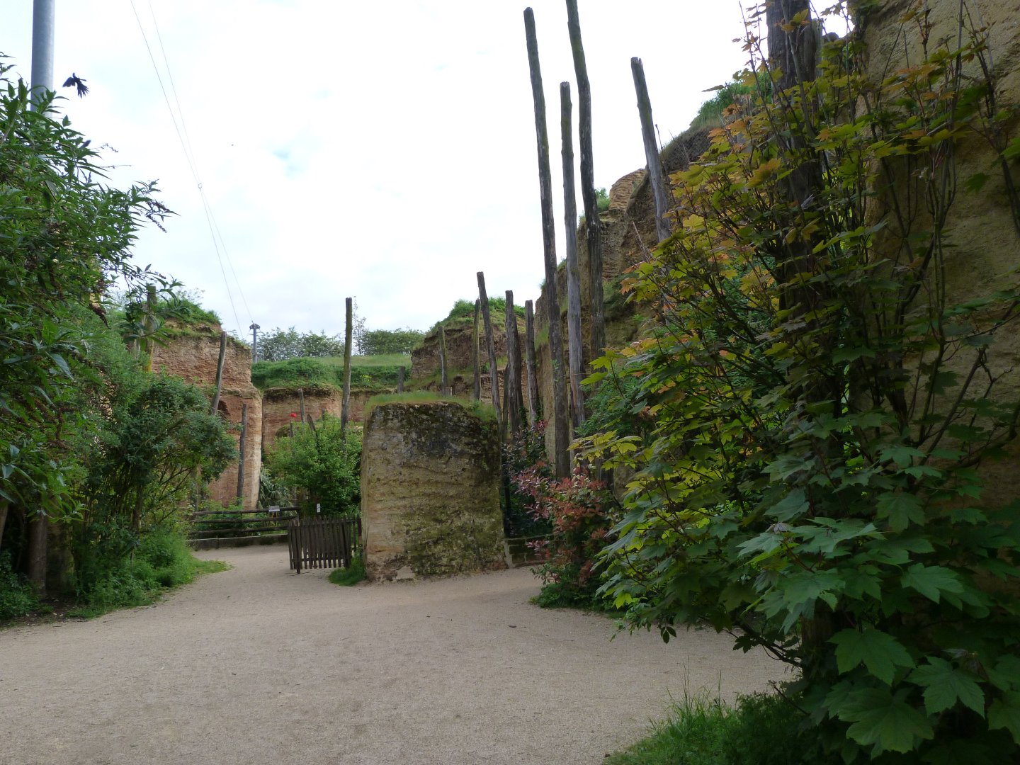 South American aviary view -Bioparc de Doué la Fontaine (2025)