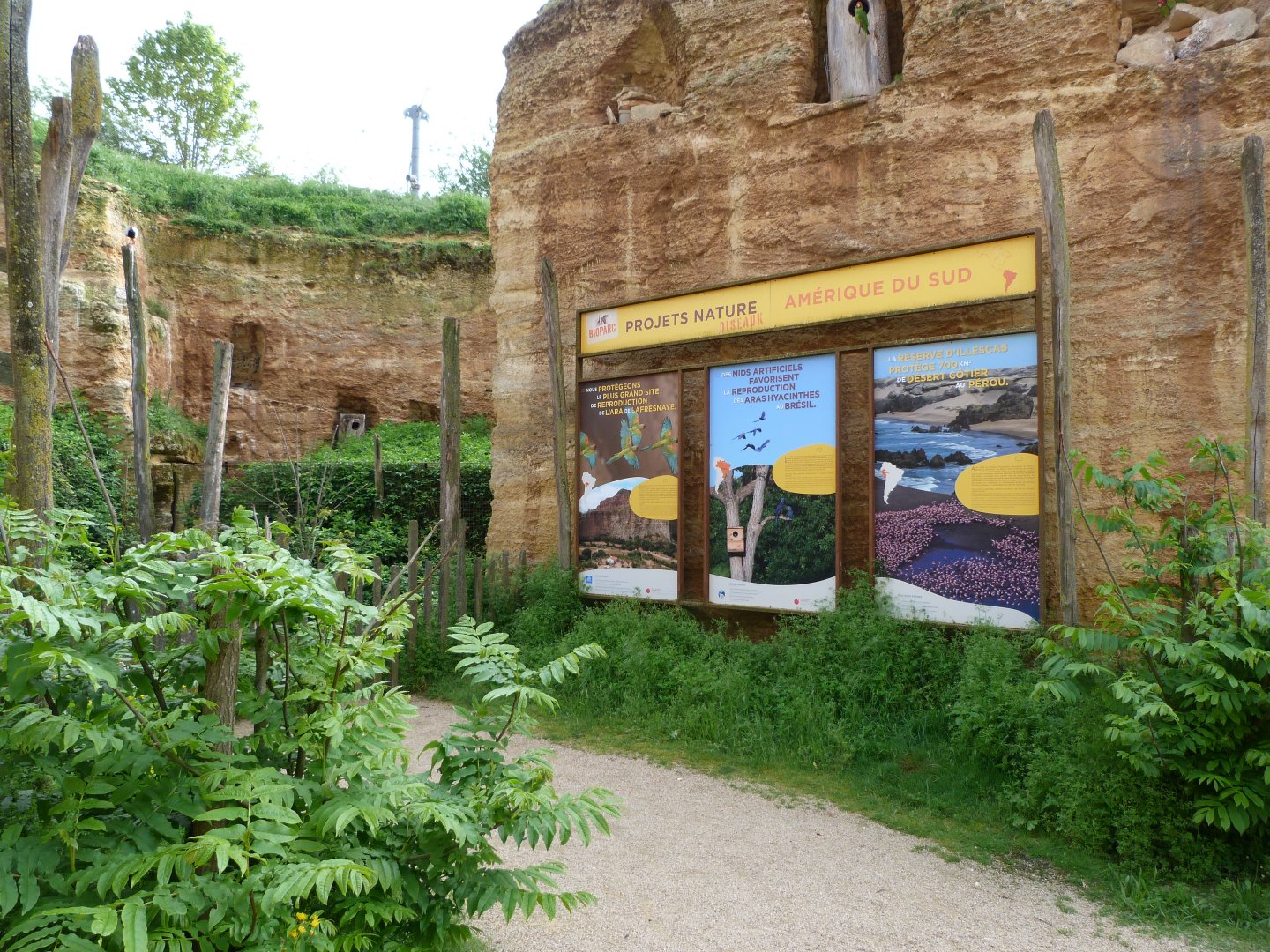 South American aviary view -Bioparc de Doué la Fontaine (2025)
