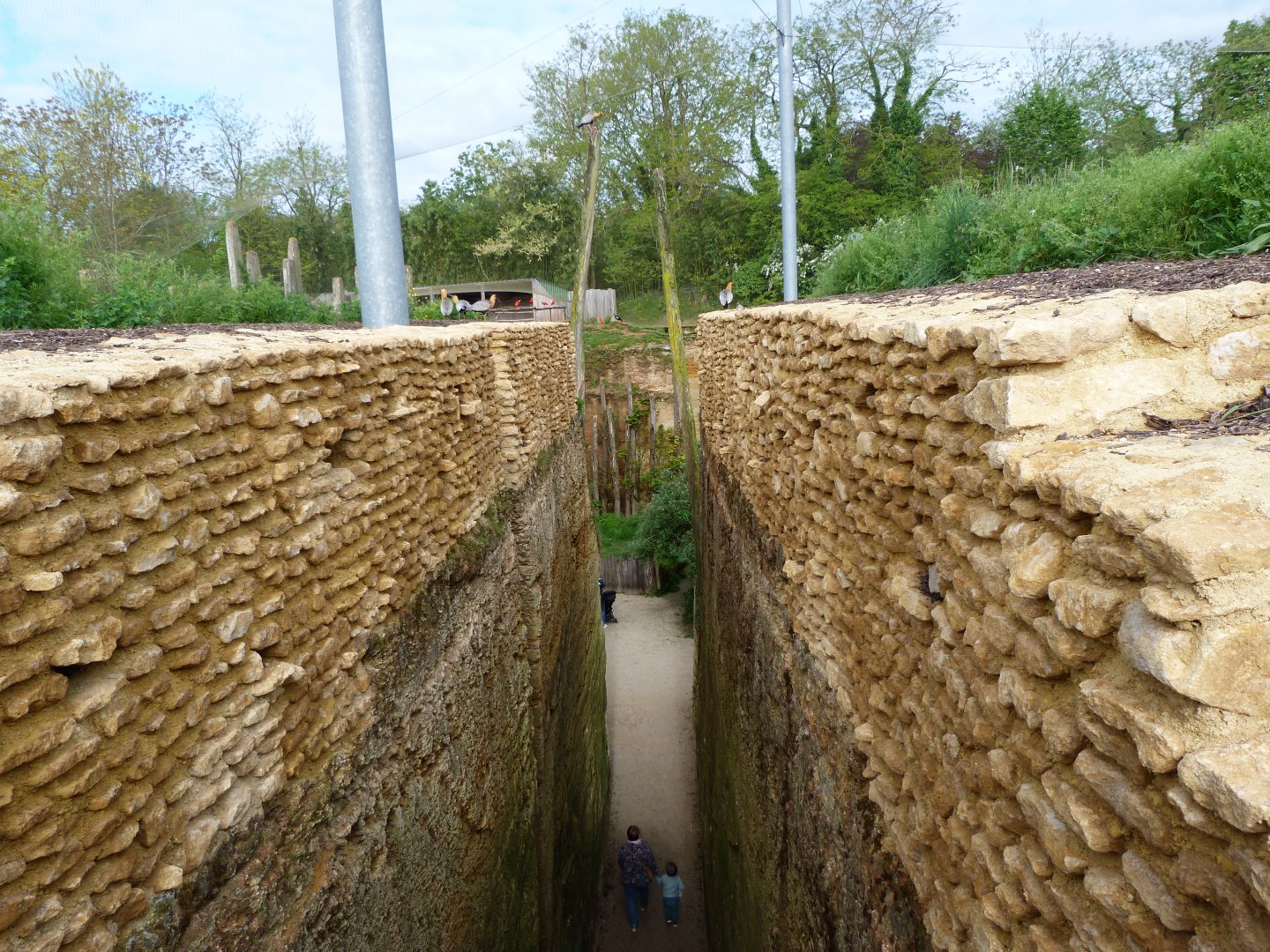 South American aviary view -Bioparc de Doué la Fontaine (2025)