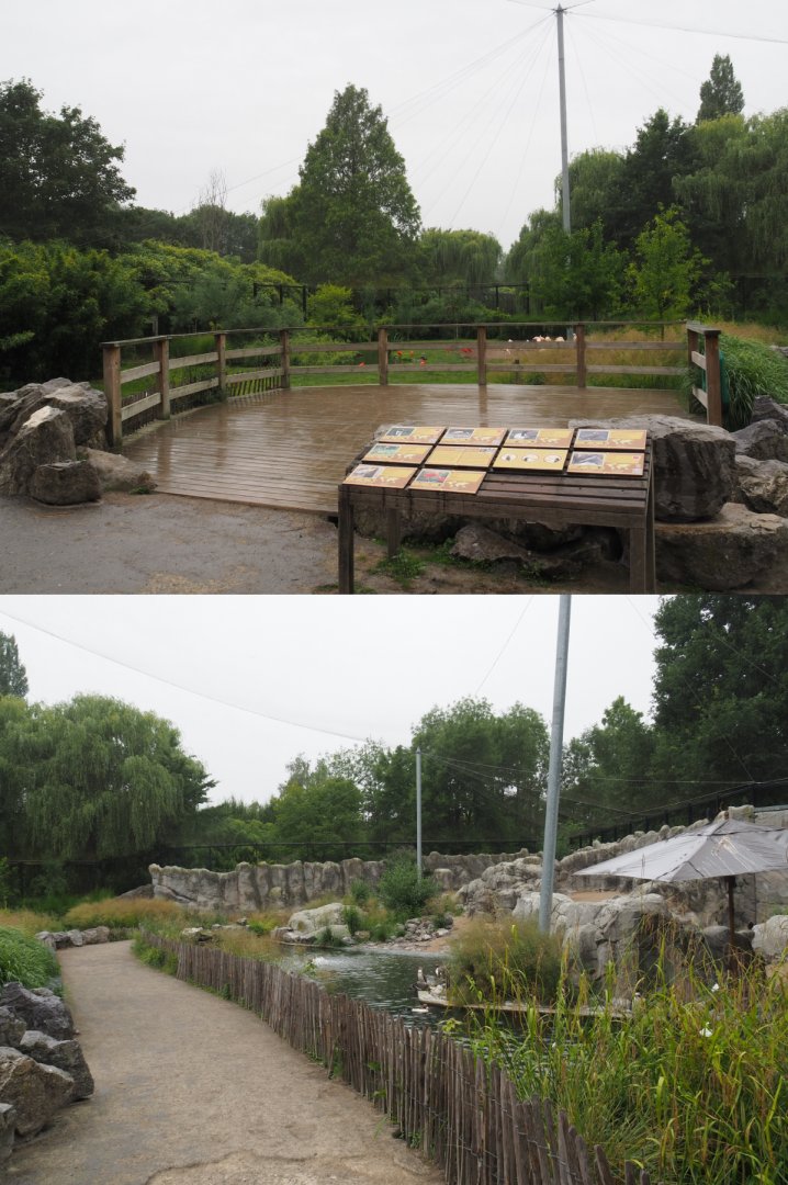 South American aviary - Viewing area and walkway, 2020-07-14