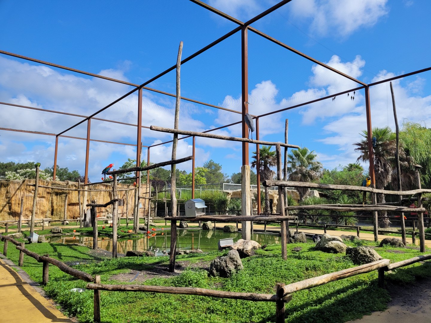 South American aviary -Zoo du bassin d'Arcachon (2024)