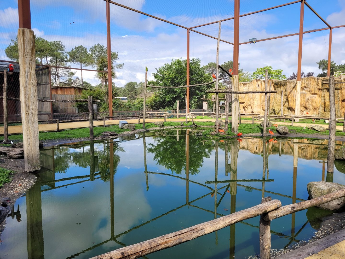 South American aviary -Zoo du bassin d'Arcachon (2024)
