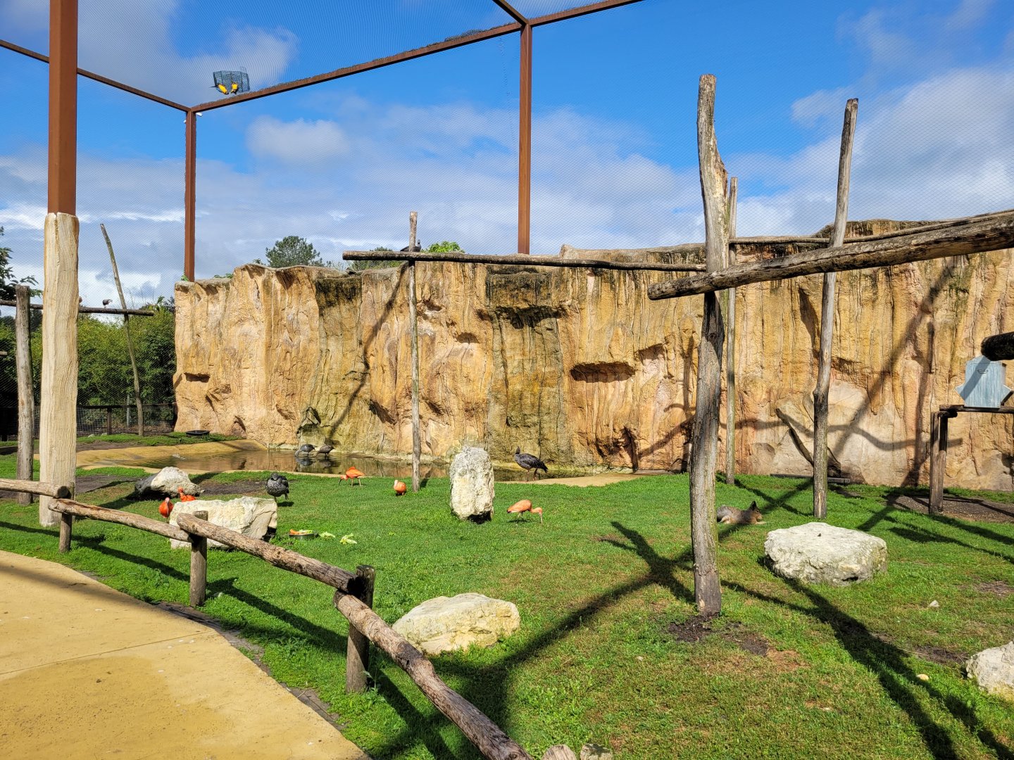 South American aviary -Zoo du bassin d'Arcachon (2024)