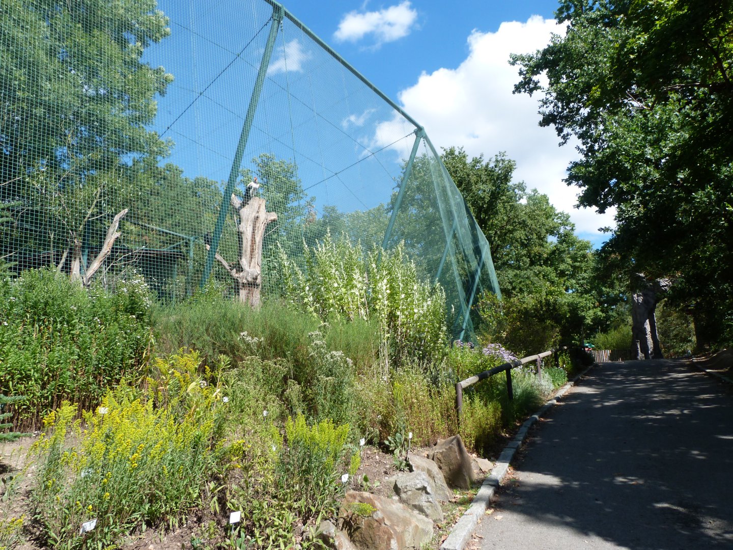 South American aviary -Zoo Plzeň (2025)