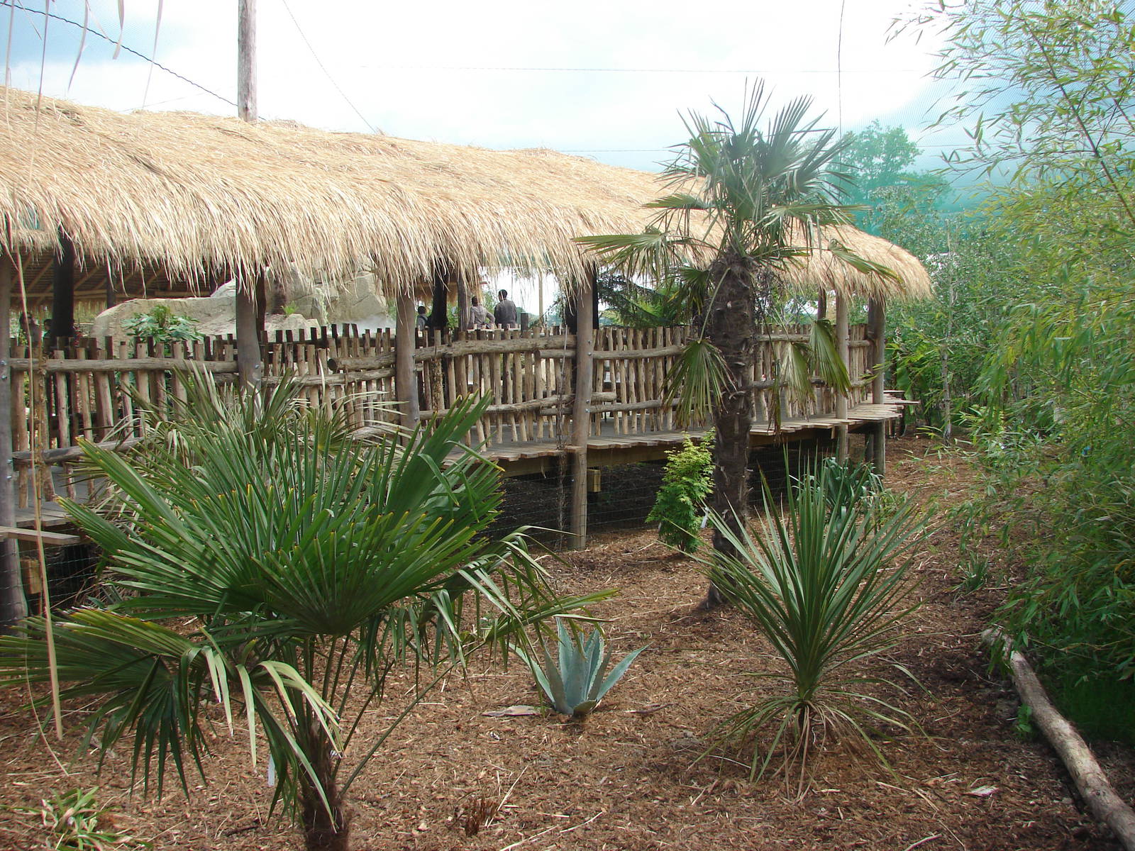 South american aviary