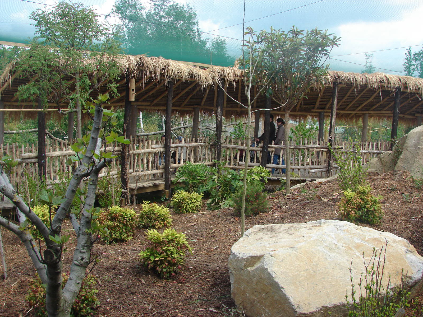 South american aviary
