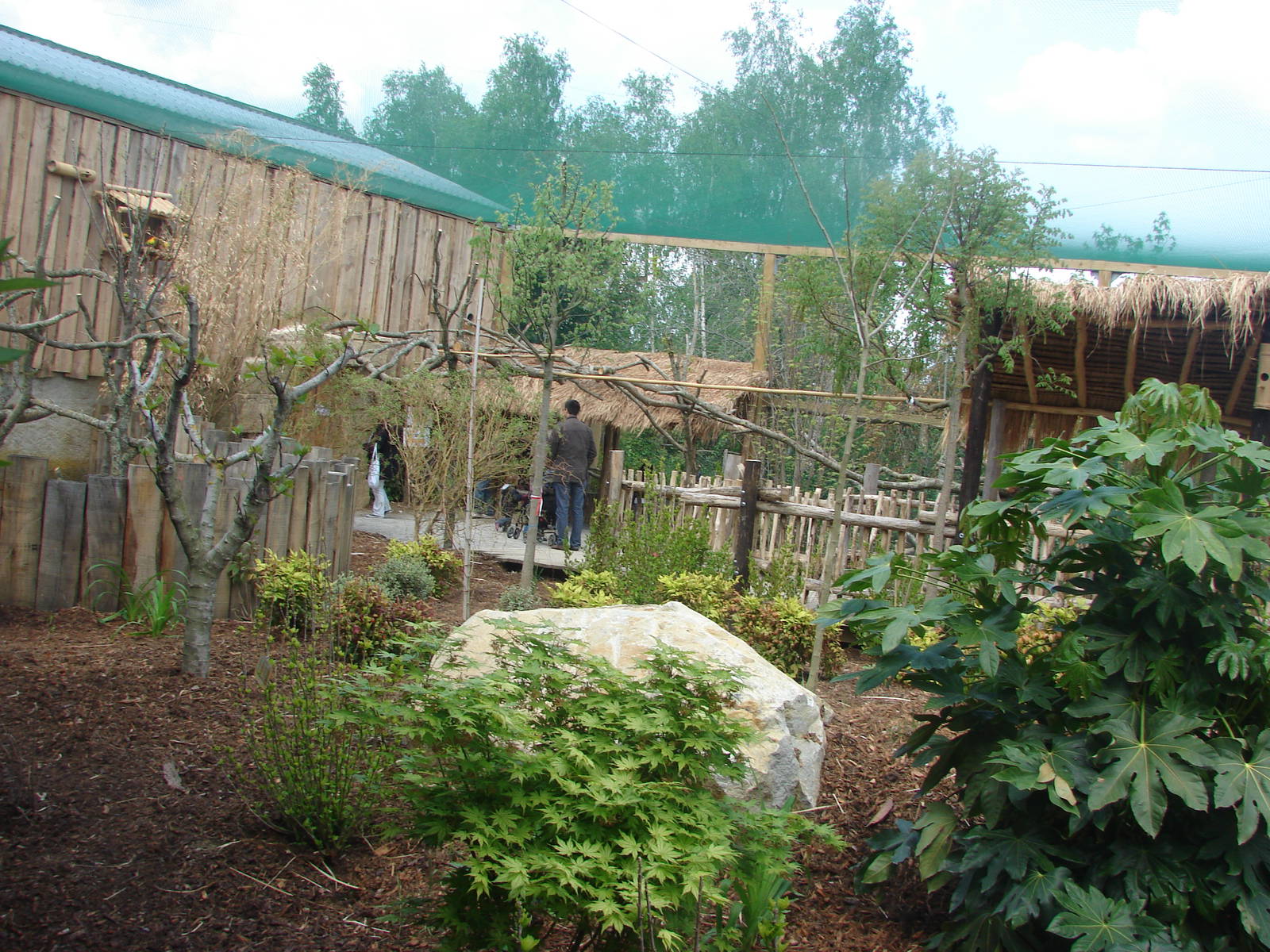 South american aviary