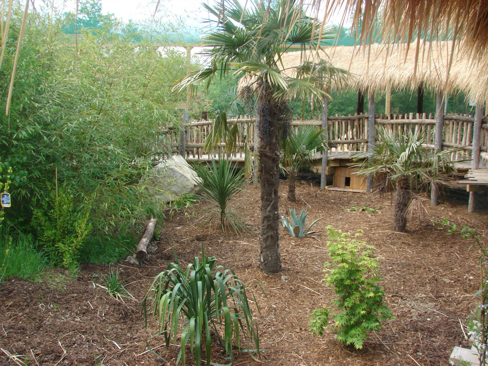 South american aviary