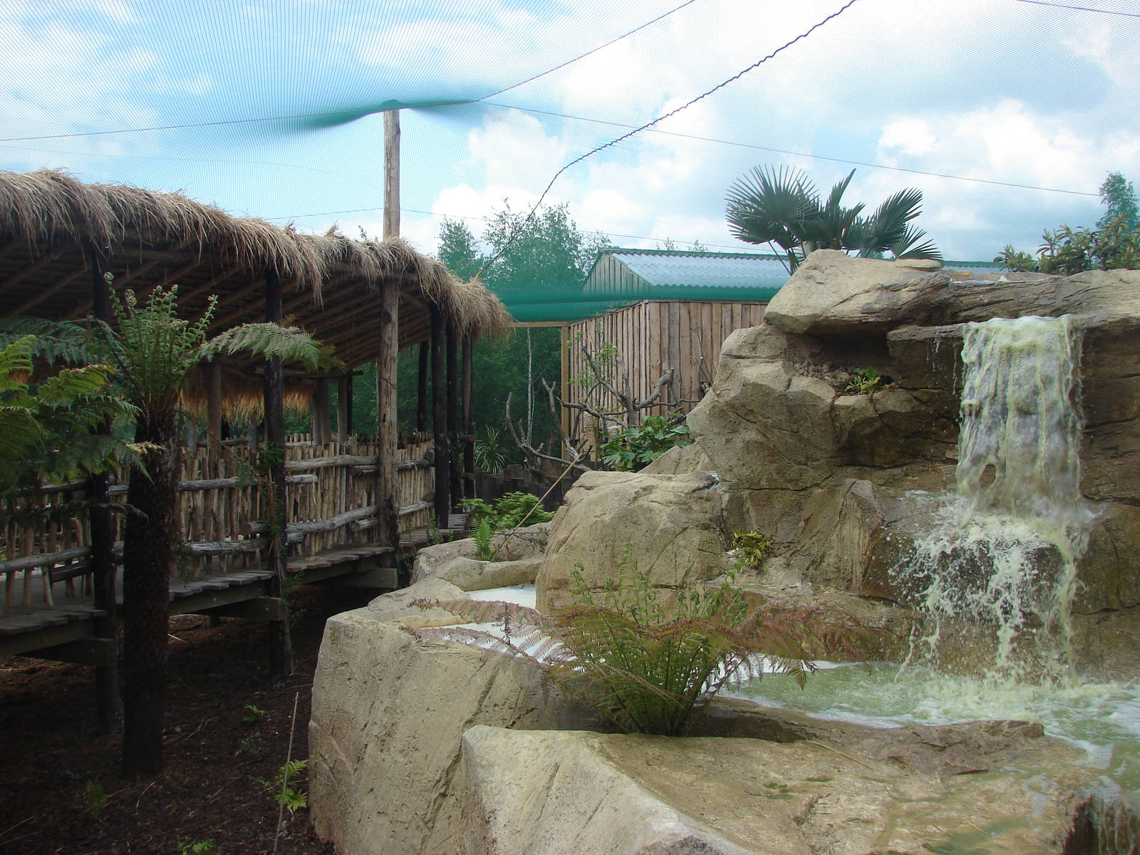 South american aviary